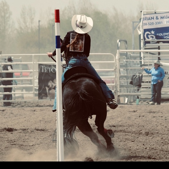 Meet your Posher, Gracie - Picture 1 of 1